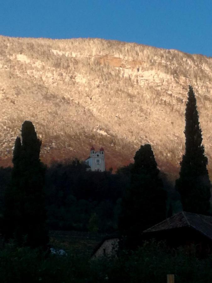 Appartamento Ansitz Jenner Appiano Sulla Strada Del Vino Esterno foto