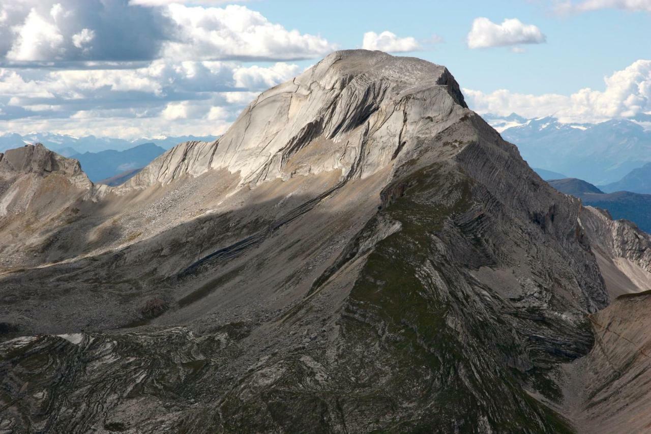 Appartamento Ansitz Jenner Appiano Sulla Strada Del Vino Esterno foto